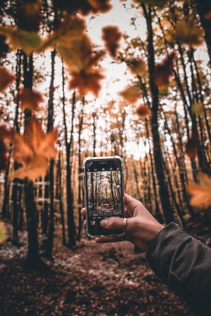 The beauty of Autumn