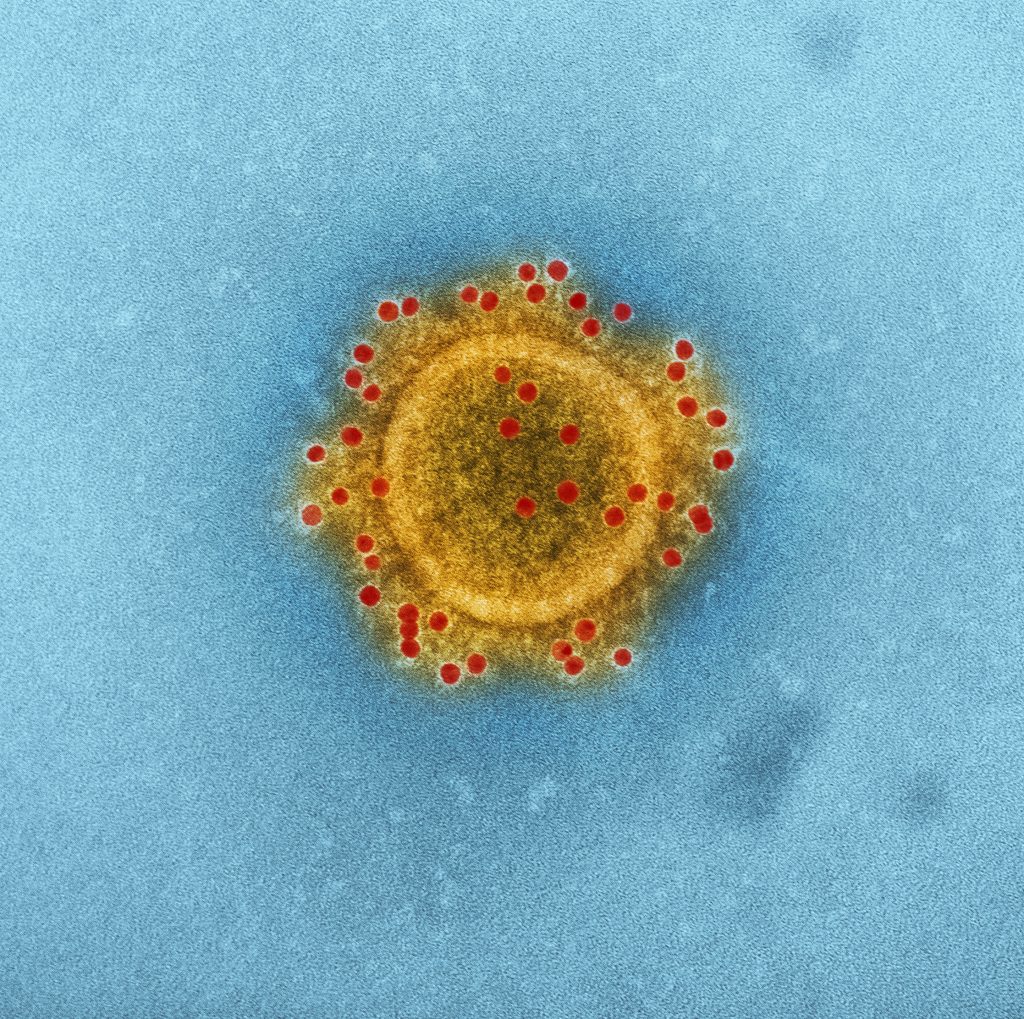 Coronavirus – should I be worried?